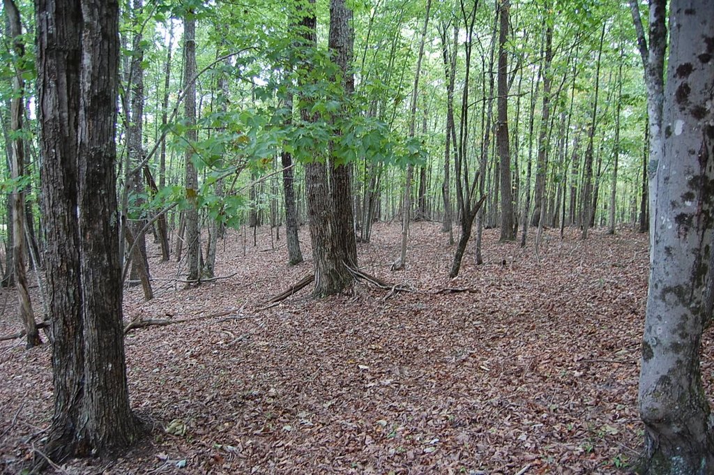 Picture 22