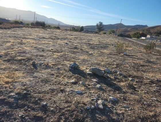 Picture 2