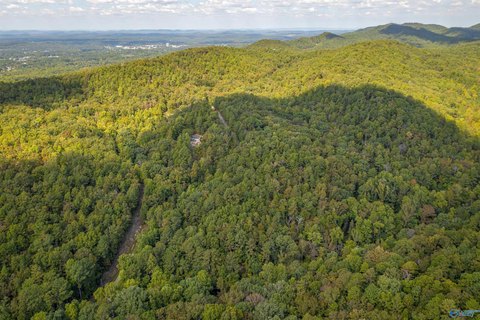 32 Acres in Jacksonville, AL