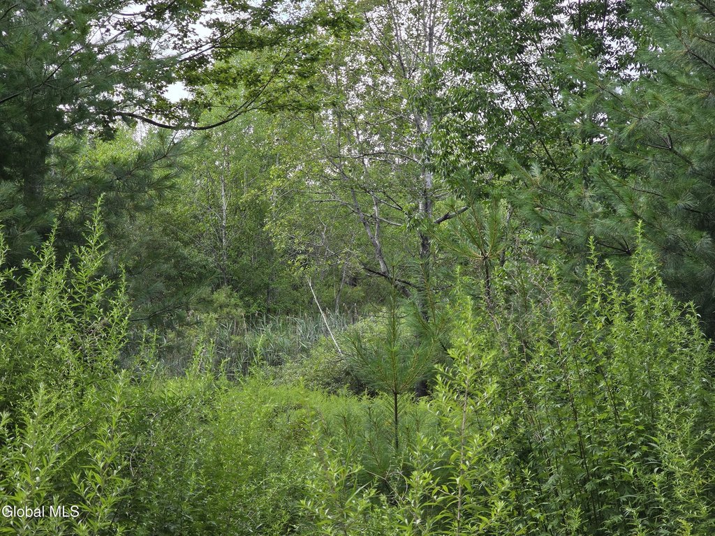 Picture 8
