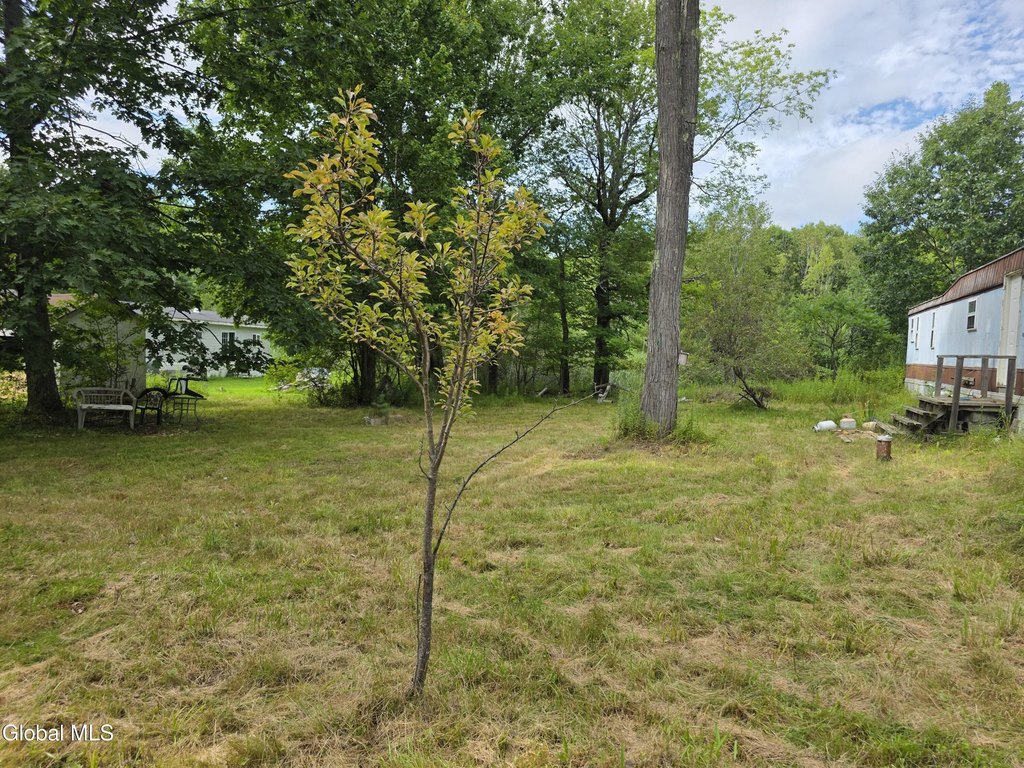 Picture 3