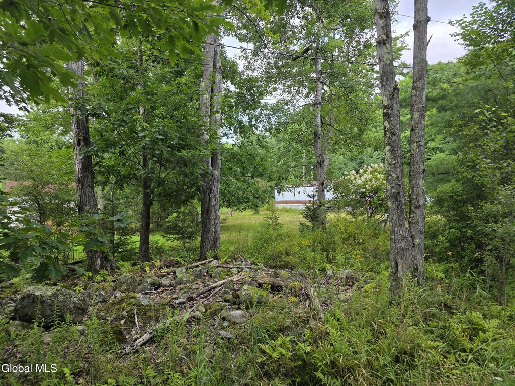 Picture 9