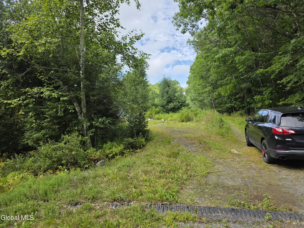 Picture 2