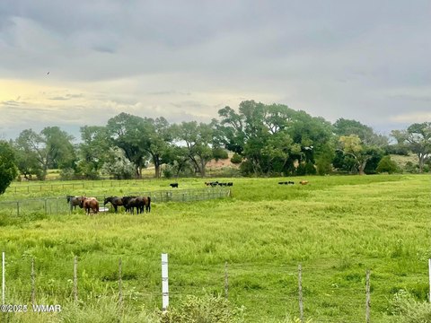 Taylor, AZ Irrigated Creek Property