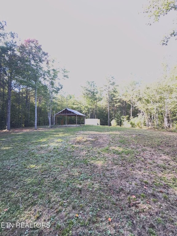 Picture 17