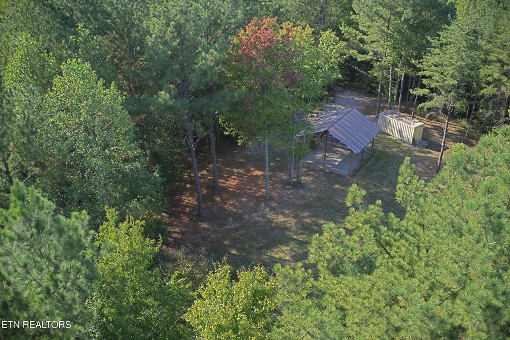 Picture 5