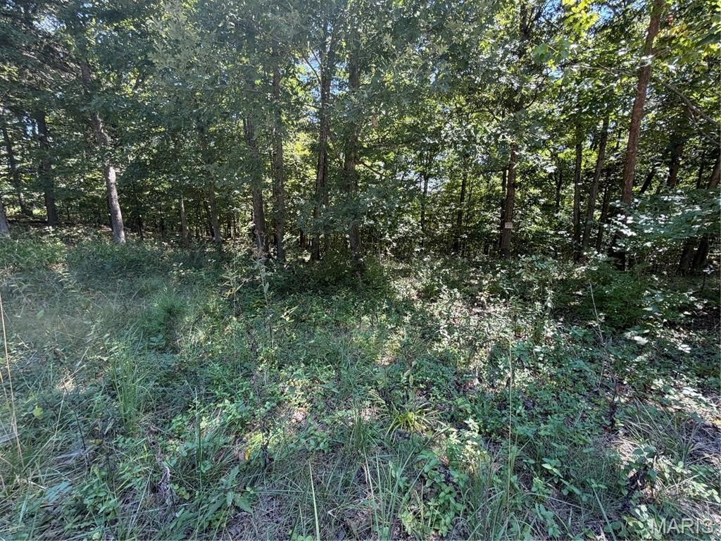 Picture 10