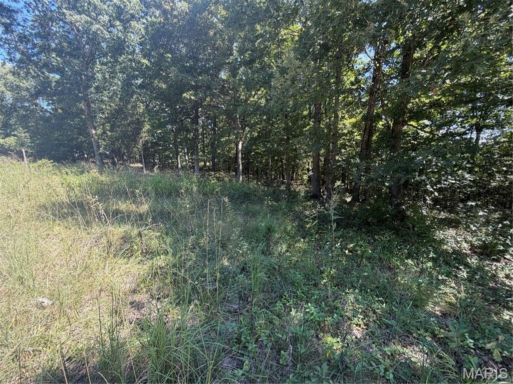 Picture 5