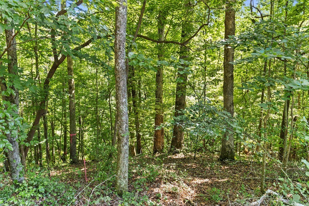 Picture 14