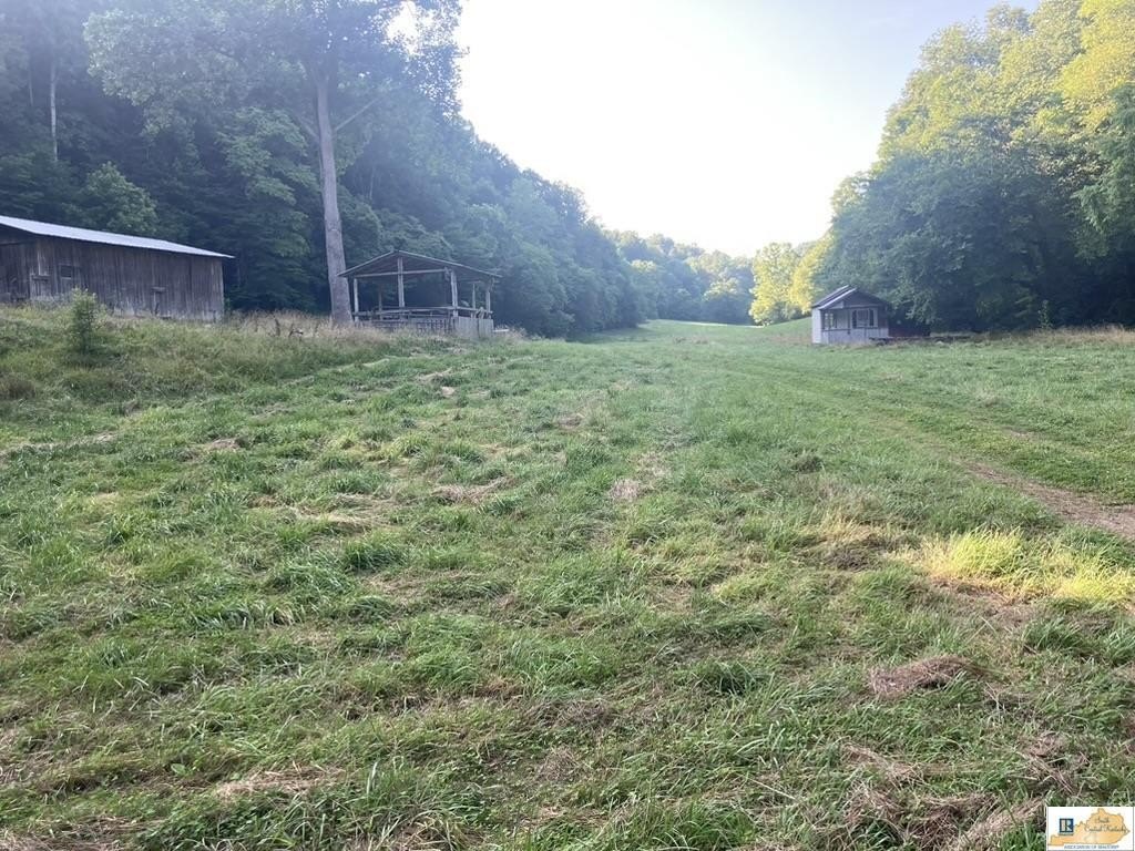 Picture 5