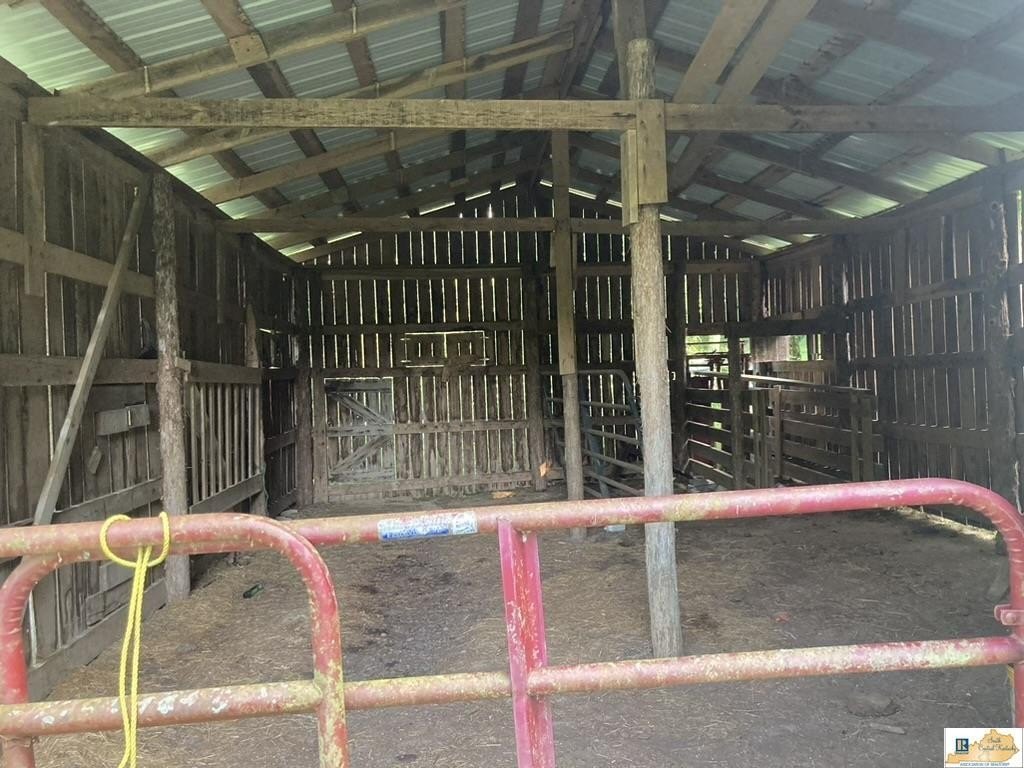 Picture 18