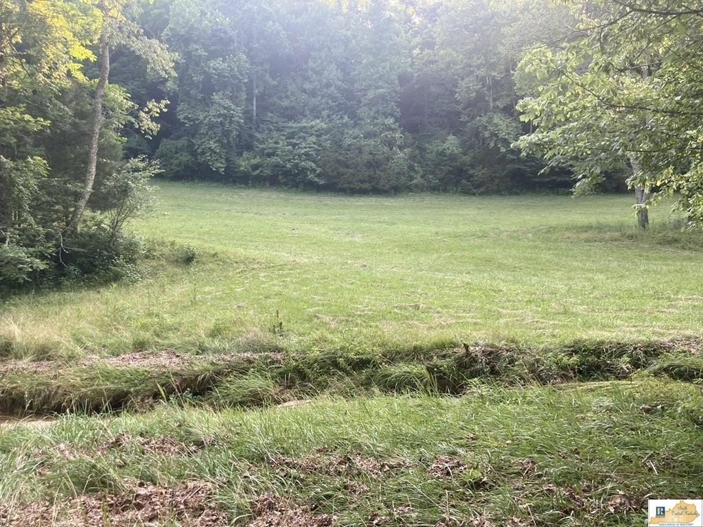 Picture 3