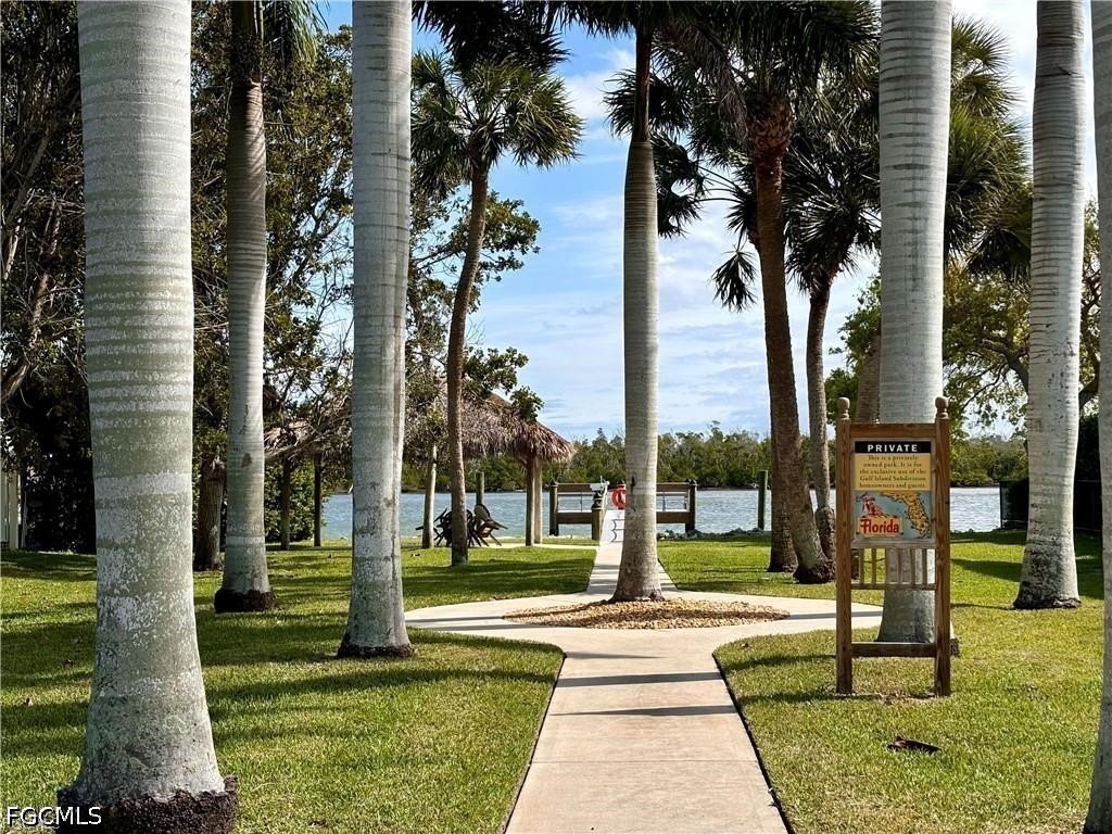 Picture 8
