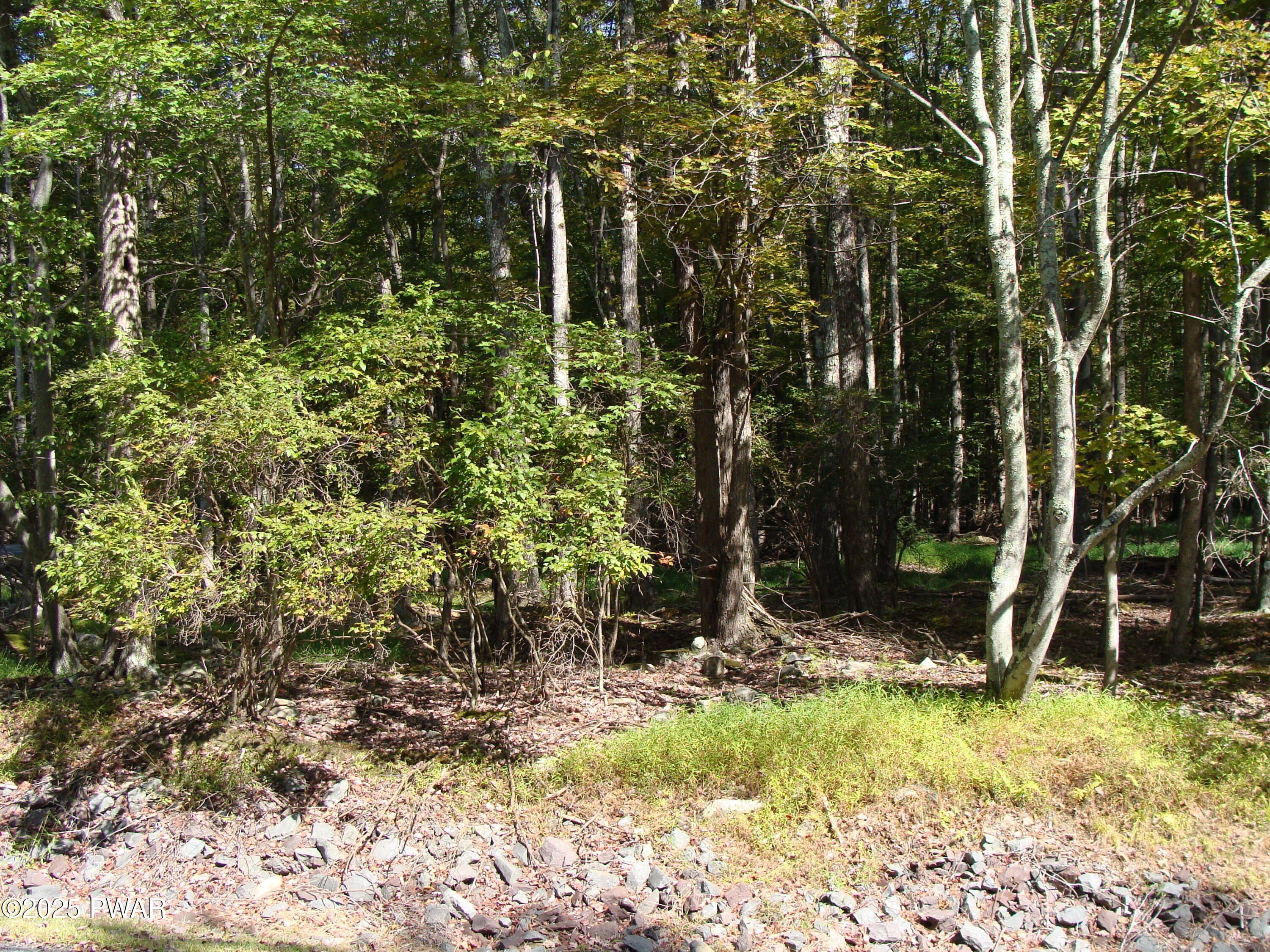 Lake Ariel Wooded Corner Lot