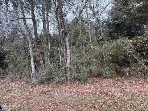 Residential Land in Diamondhead, MS