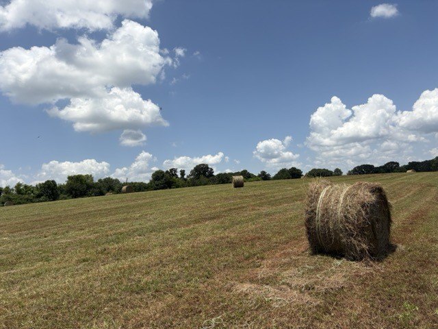 Picture 18