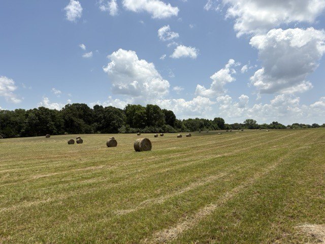 Picture 10