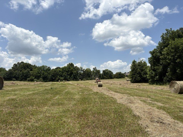 Picture 22