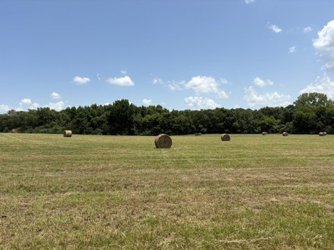 Land, Leighton, AL