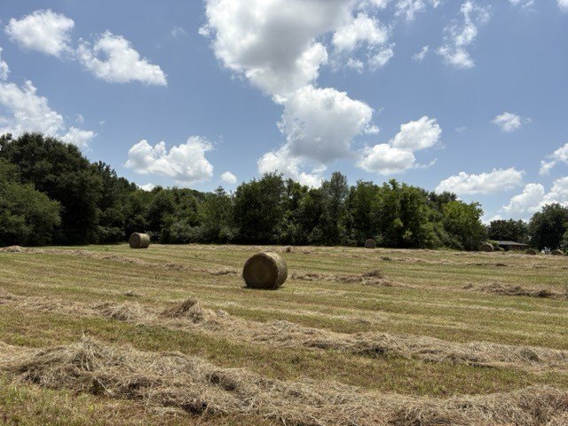 Picture 21