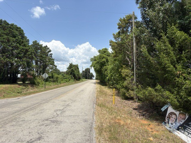 Picture 24