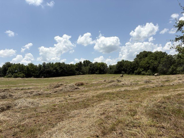 Picture 20