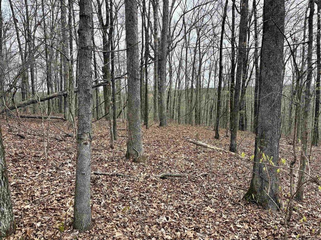 Picture 16