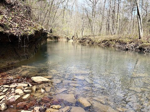 Secluded Ozark Mountain Recreational Land