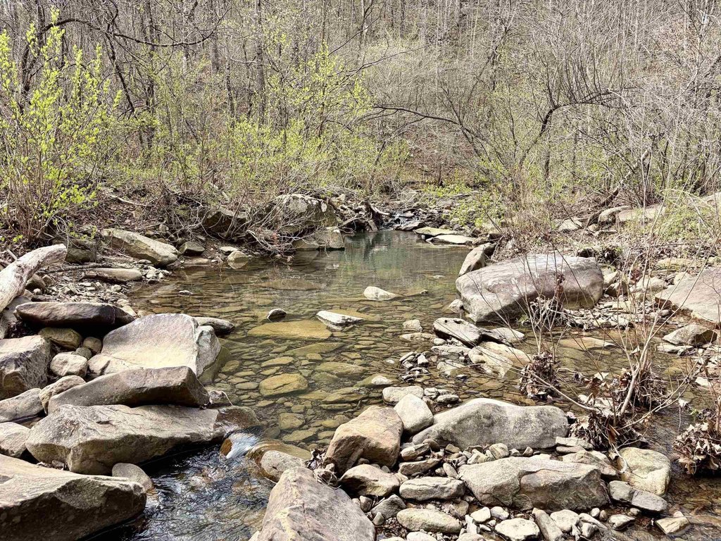 Picture 18