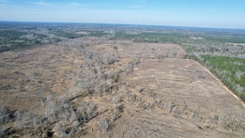 365 Acres Hunting Land, White Hall