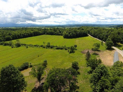 Farmland with Wooded Acreage