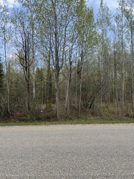 Mackinaw City Land For Sale