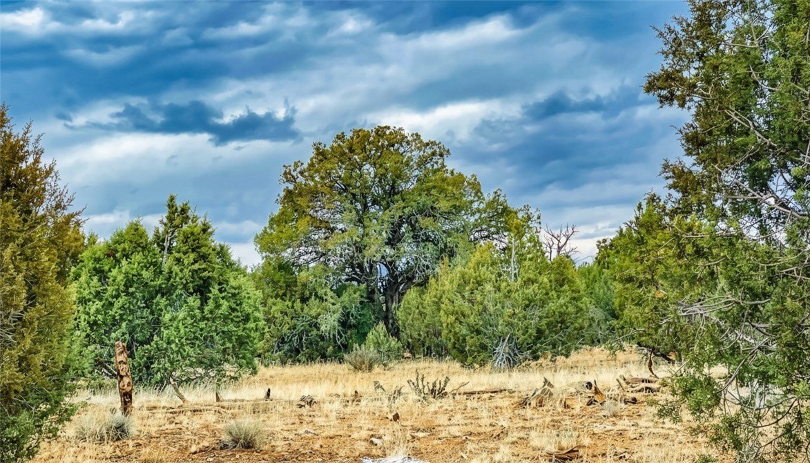 320 Acres Near Cross Mountain
