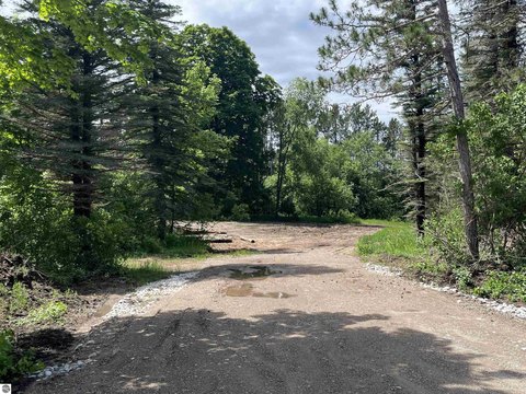 Wooded Recreational Land Parcel