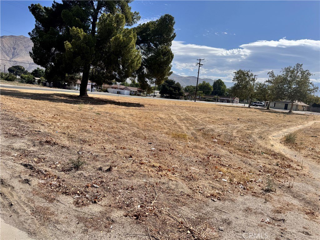 Picture 15