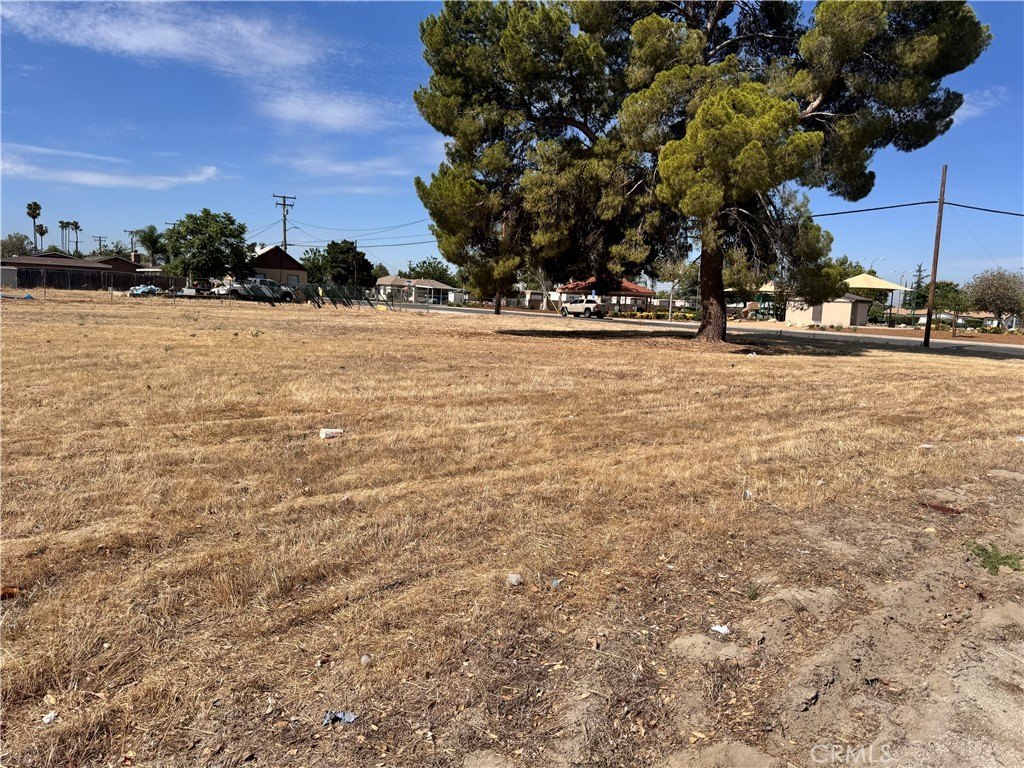 Picture 21