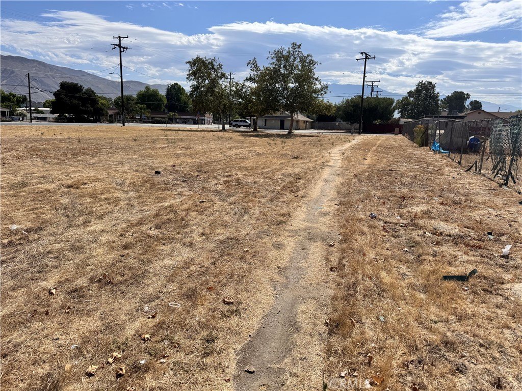 Picture 14