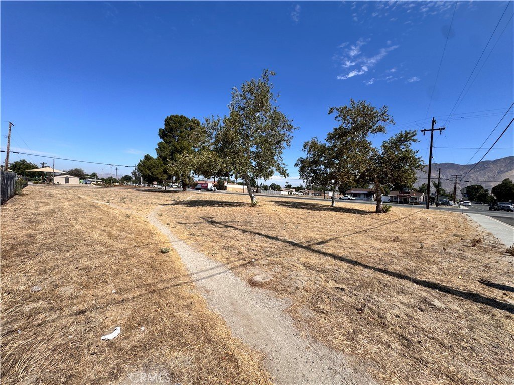 Picture 25