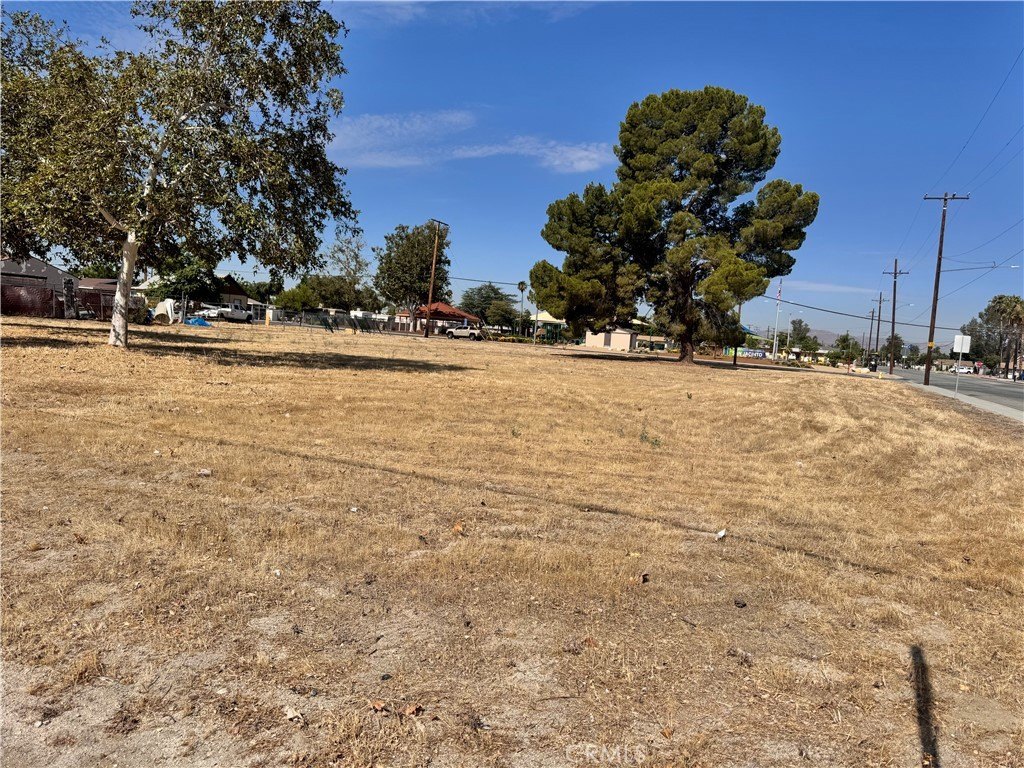 Picture 23