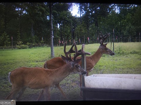 Hunting Land With Manufactured Home