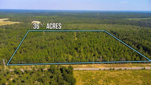 36+ Acres in DeFuniak Springs