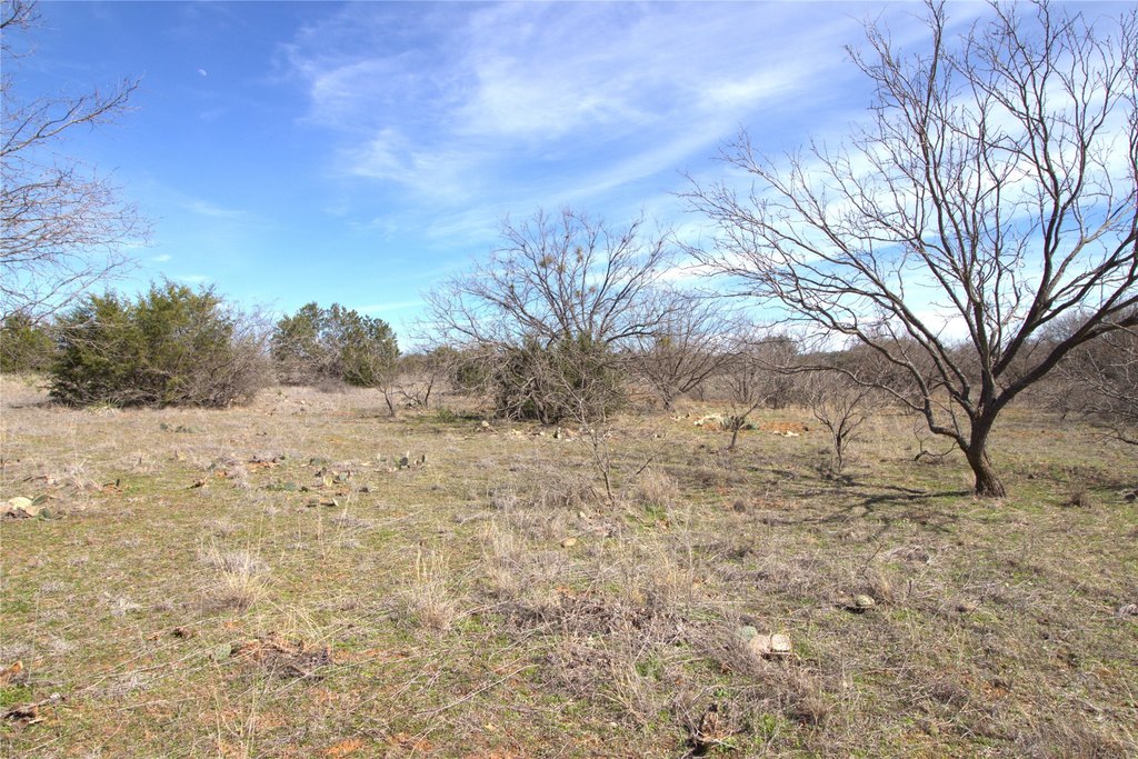 Picture 30