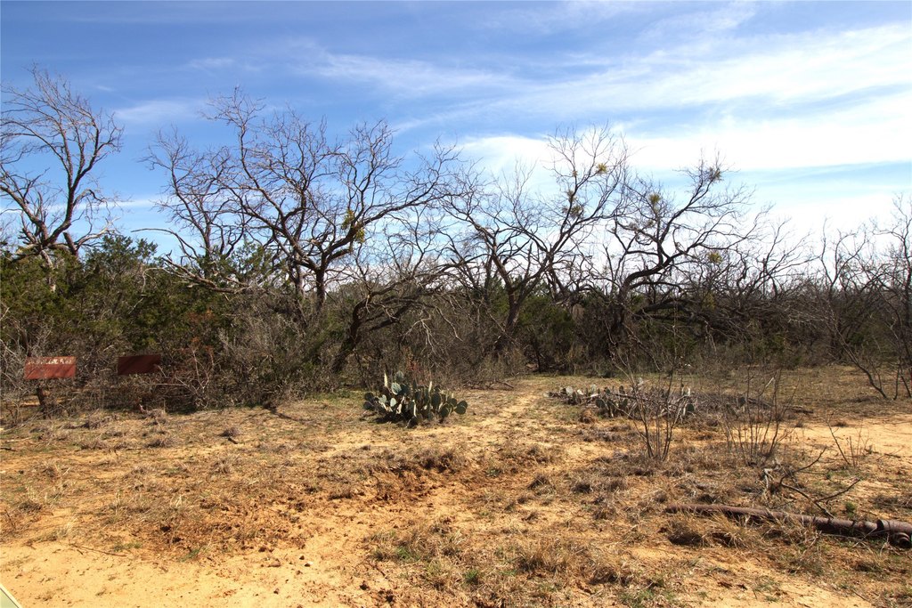 Picture 27