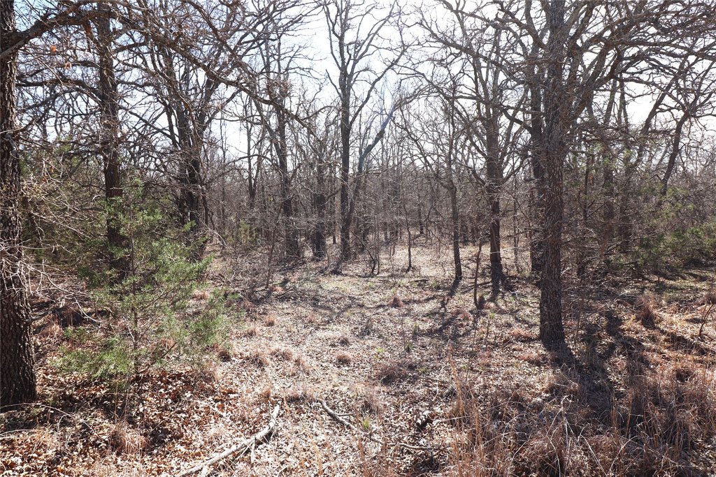 Picture 18
