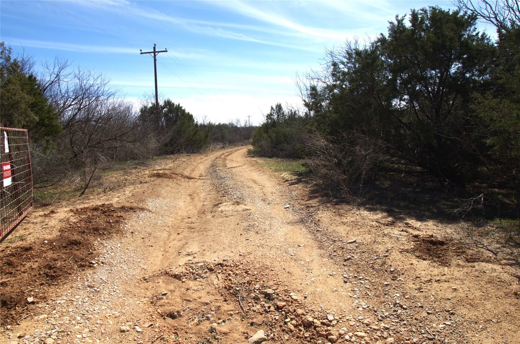 Picture 4