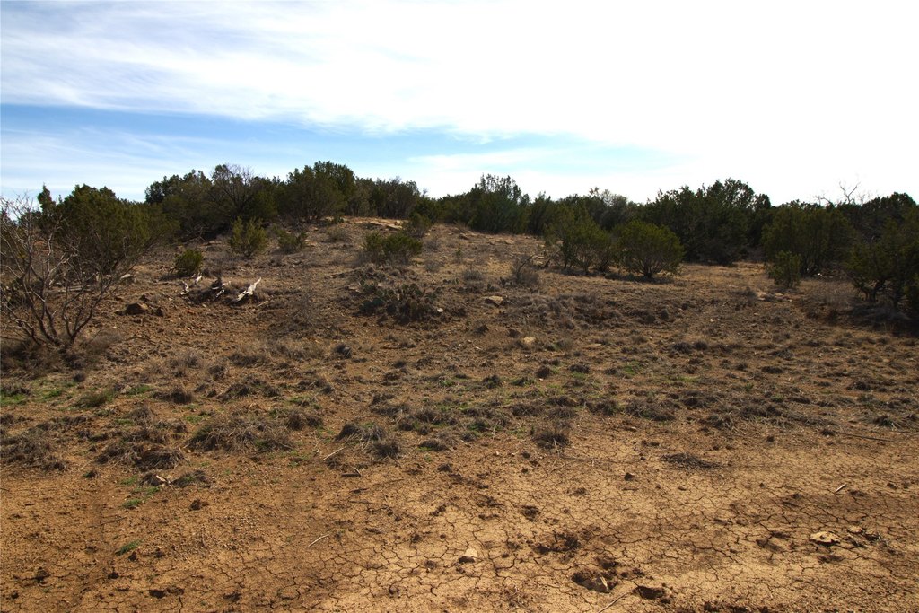Picture 28