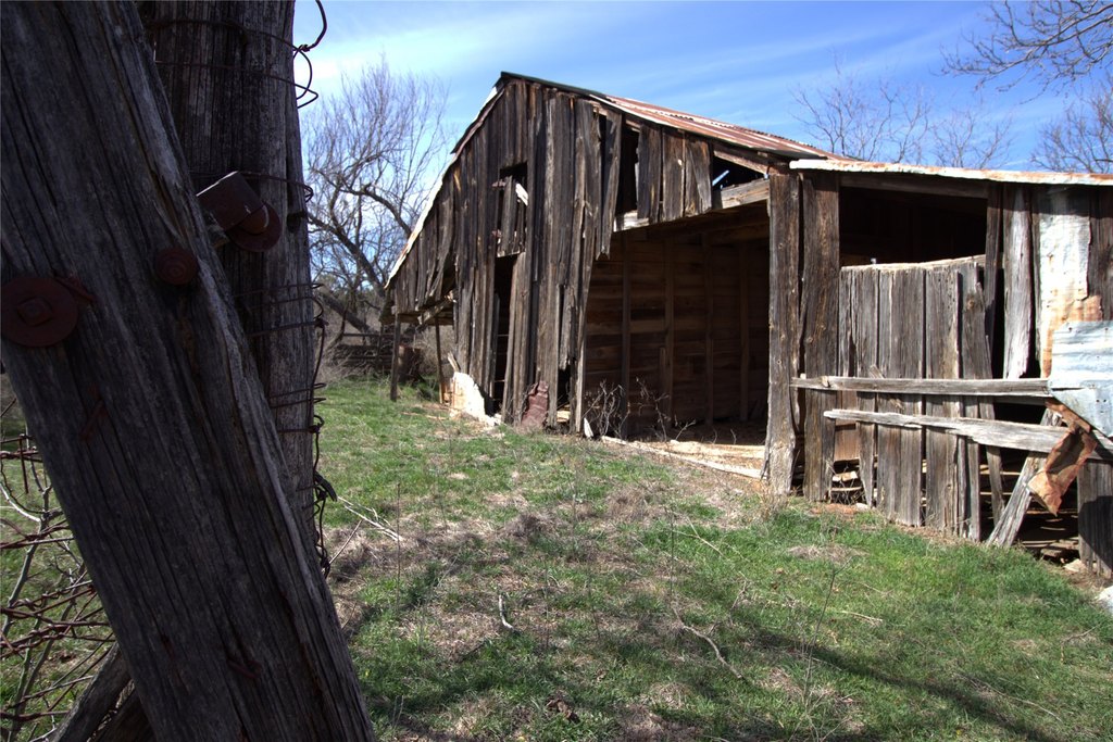 Picture 5