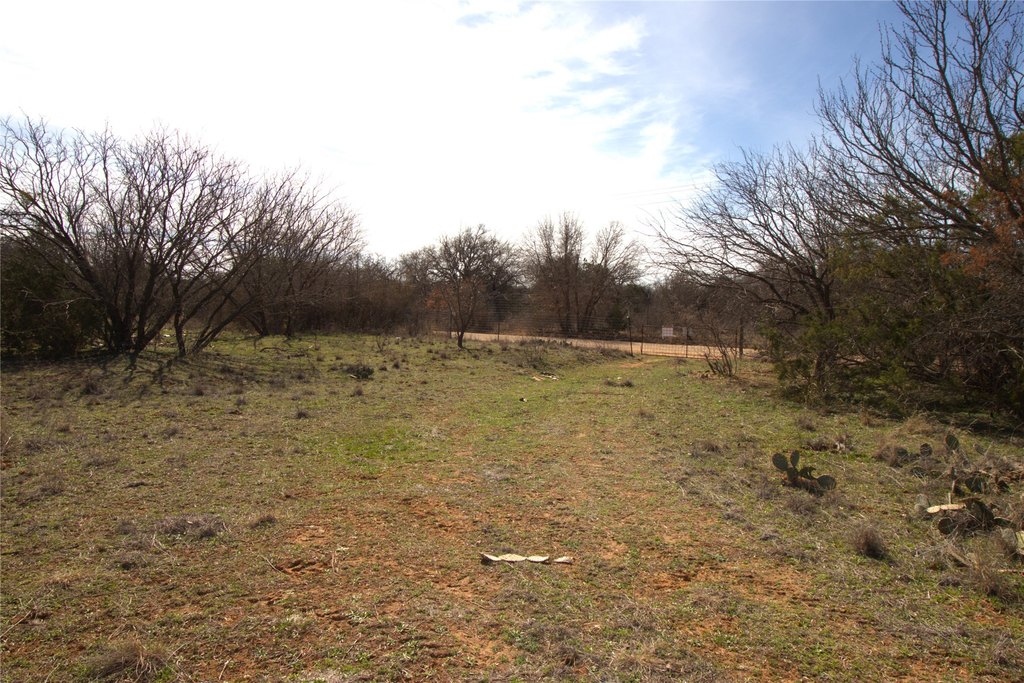 Picture 29