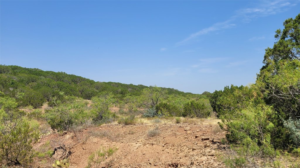 Picture 33