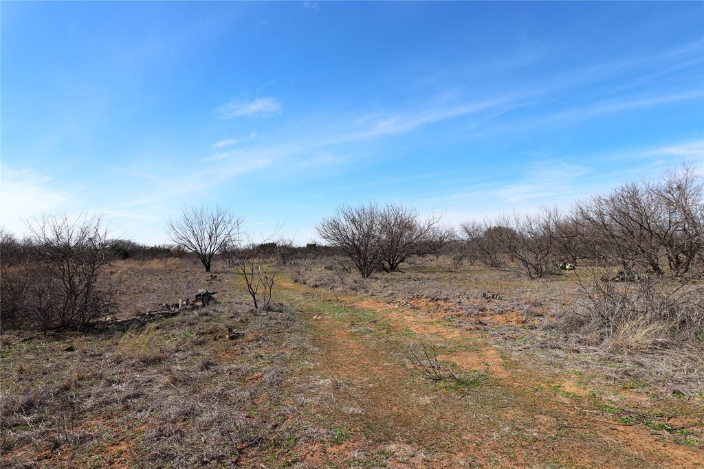 Picture 31